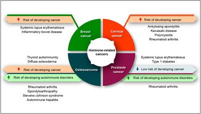 Hormone-Related Cancer and Autoimmune Diseases: A Complex Interplay to be Discovered